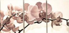 Quadros Decorativos 3 Peças Sala Quarto Orquidea