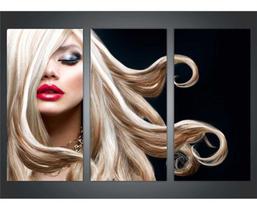 Quadros Decorativos 3 Peças Slão Beleza Cabelo Loiro Quadros Decorativos 3 Peças Slão Beleza Cabelo Loiro