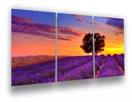 quadros decorativos 4 k Campo De Flores Roxo"