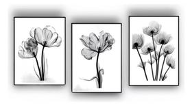 quadros decorativos 4 k Flore Raio Preto E Branco Rosas Delicada"