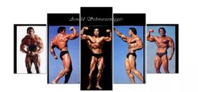 Quadros Decorativos Arnold Schwarzenegger Academia Gym"