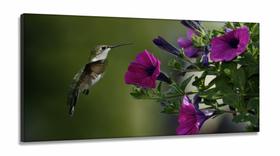 Quadros Decorativos Beija Flor em Tecido Canvas 130x60 Quadros Decorativos Beija Flor em Tecido Canvas 130x60