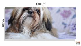 Quadros Decorativos Cachorro Shih-tzuem Tecido Canvas 130x60