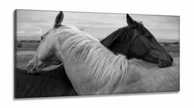 Quadros Decorativos Cavalo Preto e branco em Tecido Canvas 130x60 Quadros Decorativos Cavalo Preto e branco em Tecido Canvas 130x60