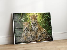 Quadros Decorativos com Moldura Acrilico Cristal Familia Onca 3 Filhotes para Sala Quarto e Escritório Horizontal