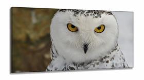 Quadros Decorativos Coruja Branca em Tecido Canvas 130x60 Quadros Decorativos Coruja Branca em Tecido Canvas 130x60