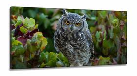 Quadros Decorativos Coruja Linda em Tecido Canvas 130x60 Quadros Decorativos Coruja Linda em Tecido Canvas 130x60
