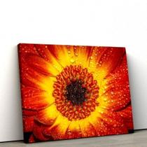 Quadros Decorativos de PVC 004 - 60 x90 cm