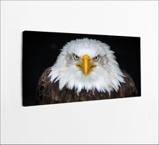 Quadros Decorativos de PVC 008 - 100 x 50 cm