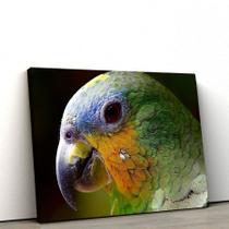 Quadros Decorativos de PVC 018 - 60 x90 cm