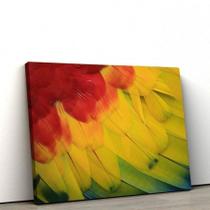 Quadros Decorativos de PVC 021 - 40 x 60 cm
