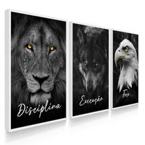 Quadros Decorativos Disciplina Cursivo Leão Olhos Dourados