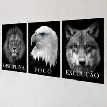 Quadros Decorativos Disciplina Leão Águia Lobo 120x60cm