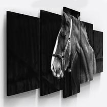 Quadros Decorativos Fazenda Cavalo Preto Branco