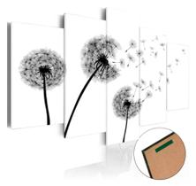 quadros decorativos Flor Dente De Leão Minimalista"