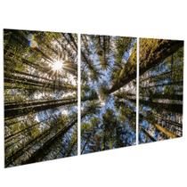 Quadros Decorativos Floresta Moulton Sala Escritório Quarto Moderno Casal PMG Quadros Decorativos Floresta Moulton Sala Escritório Quarto Moderno Casal PMG