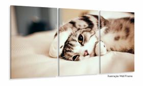 Quadros Decorativos Gato Fofo 3 peças 120x60 cm em Tecido Quadros Decorativos Gato Fofo 3 peças 120x60 cm em Tecido