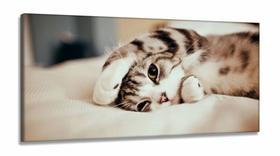Quadros Decorativos Gato Fofo em Tecido Canvas 130x60 Quadros Decorativos Gato Fofo em Tecido Canvas 130x60
