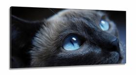 Quadros Decorativos Gato Olho Azul em Tecido Canvas 130x60