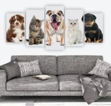 quadros decorativos Gatos E Cachorros" quadros decorativos Gatos E Cachorros"