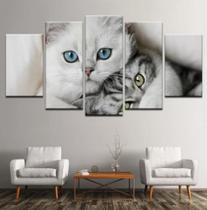 Quadros Decorativos Gatos"