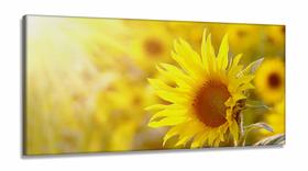Quadros Decorativos Girassol Hd Quarto Sala em Tecido Canvas 130x60 Quadros Decorativos Girassol Hd Quarto Sala em Tecido Canvas 130x60