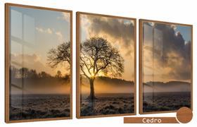 Quadros Decorativos Kit 3 Moldura e Vidro Árvore Árida