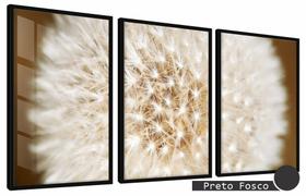 Quadros Decorativos Kit 3 Moldura e Vidro Dente Leão Amplo Quadros Decorativos Kit 3 Moldura e Vidro Dente Leão Amplo