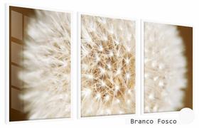 Quadros Decorativos Kit 3 Moldura e Vidro Dente Leão Amplo