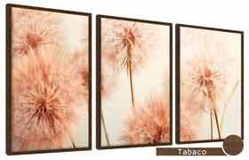 Quadros Decorativos Kit 3 Moldura e Vidro Dente Leão Sopro
