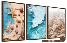 Quadros Decorativos Kit 3 Moldura e Vidro Elementos Naturais