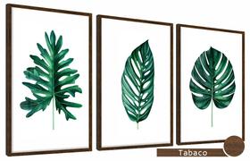 Quadros Decorativos Kit 3 Moldura e Vidro Folhas Verdes Belo