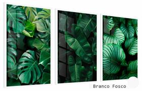 Quadros Decorativos Kit 3 Moldura e Vidro Verde Amazônia Quadros Decorativos Kit 3 Moldura e Vidro Verde Amazônia