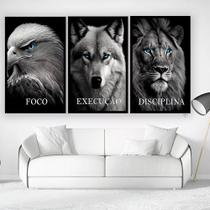 Quadros Decorativos Leão Águia Disciplina Motivação 3 Peças