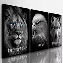 Quadros Decorativos Leão Águia Disciplina Motivação