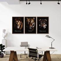 Quadros Decorativos Leão Disciplina Foco 3 Peças
