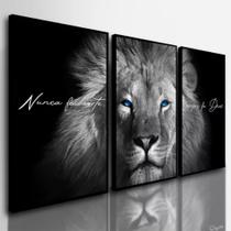 Quadros Decorativos Leão Juda Nunca Foi Sorte