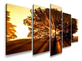 Quadros Decorativos Natureza Arvore Por Do Sol" Quadros Decorativos Natureza Arvore Por Do Sol"