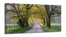 Quadros Decorativos Natureza Paisagem Arvores Sala em Tecido Canvas 130x60 Quadros Decorativos Natureza Paisagem Arvores Sala em Tecido Canvas 130x60