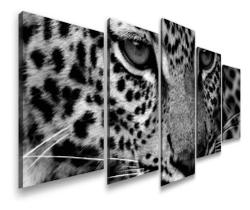 quadros decorativos Onça Pintada"