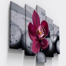 Quadros Decorativos Orquidea Flor Botanico Sala Copa Quadros Decorativos Orquidea Flor Botanico Sala Copa