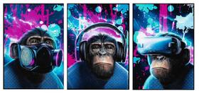 QUADROS Decorativos OS MACACOS 3 Unidades-D