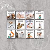 Quadros Decorativos Para Clínica Veterinária Quadros Decorativos Para Clínica Veterinária
