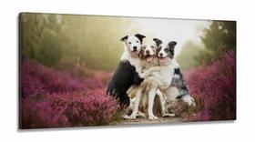 Quadros Decorativos Pet Shop Cachorros em tecido canvas 130x60
