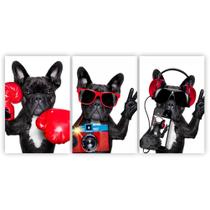 Quadros Decorativos quarto Cachorro Buldogue Francês Divertido 60x40 Quadros Decorativos quarto Cachorro Buldogue Francês Divertido 60x40