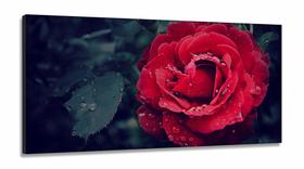 Quadros Decorativos Rosa Vermelho Botanico Sala Quarto em tecido canvas 130x60