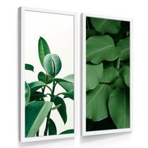 Quadros Decorativos Sala Cozinha Dupla Botanico Flores Flor Quadros Decorativos Sala Cozinha Dupla Botanico Flores Flor
