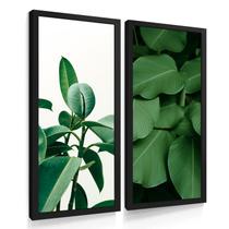 Quadros Decorativos Sala Cozinha Dupla Botanico Flores Flor Quadros Decorativos Sala Cozinha Dupla Botanico Flores Flor