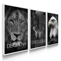 Quadros Decorativos Sala Disciplina Execução Foco Leão Grande Com Vidros
