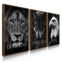 Quadros Decorativos Sala Disciplina Execução Foco Leão Grande Com Vidros Quadros Decorativos Sala Disciplina Execução Foco Leão Grande Com Vidros